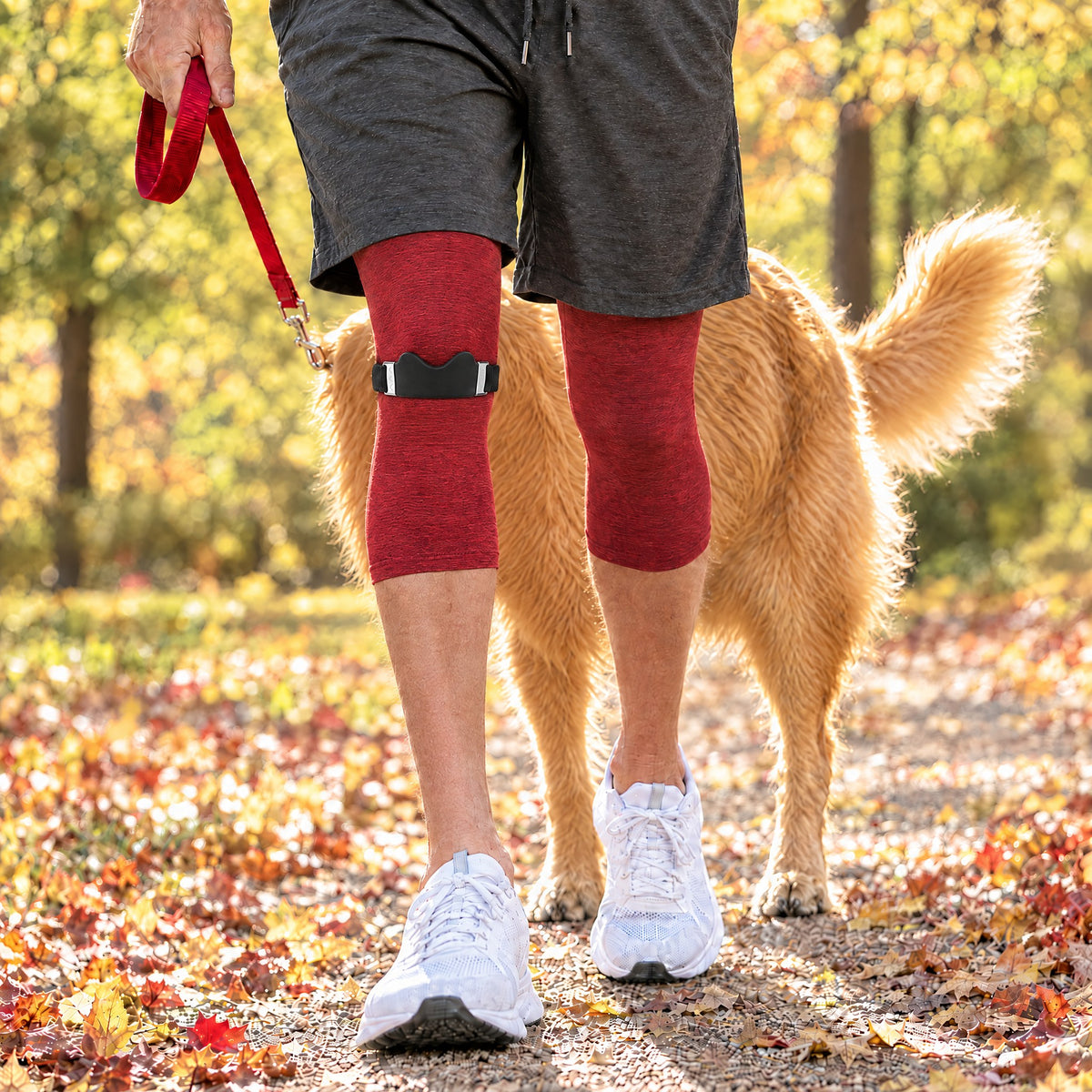 Spaziergang mit dem Hund mit Patellaband unter dem Knie